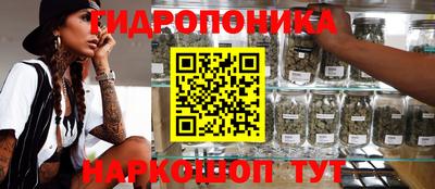 ешки Долгопрудный