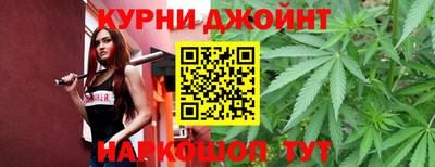 сатива Гудермес